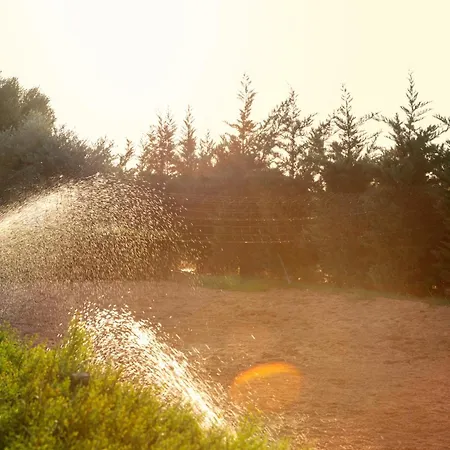 Szálloda Amethyst Napa &