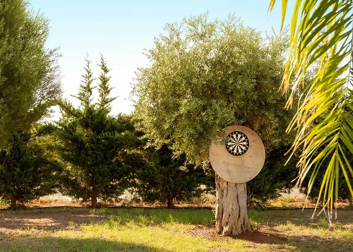 Hotell Amethyst Napa & 4*