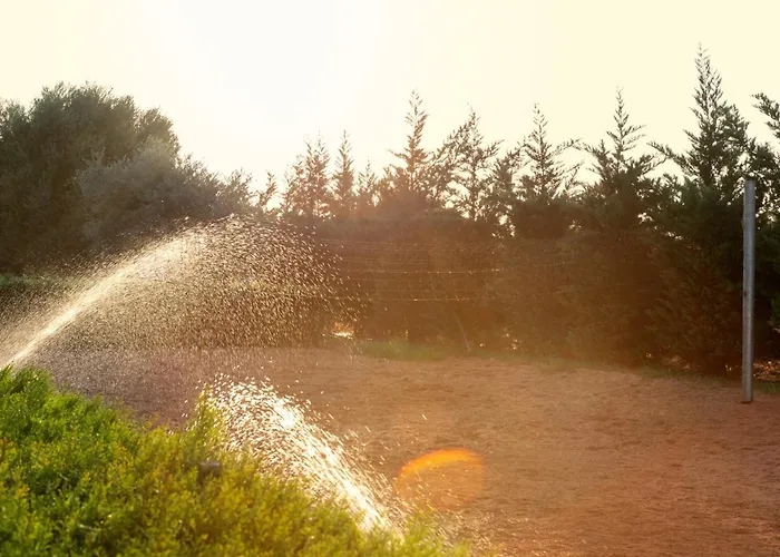 Szálloda Amethyst Napa &